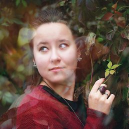 ���� �����, ������, 33 ���� - ��������� 29 ������ 2013