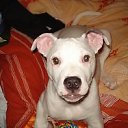 ���� ����, �������, 38 ��� - ��������� 16 ����� 2012