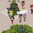 ���� Djulia, ����������� - ��������� 1 ������ 2013 � ������ �Tropikania�