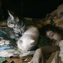 ���� �����, ������ - ��������� 1 ������ 2009