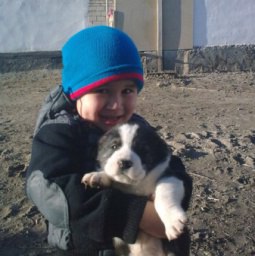 ��������, ������, 60 ���