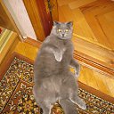 ���� �����, ������, 39 ��� - ��������� 15 ����� 2011 � ������ ���� ����������