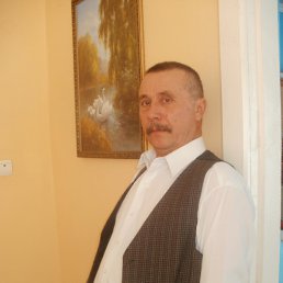 Василь, 66 лет, Виноградов