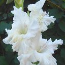 ���� �������, ����, 65 ��� - ��������� 7 ������� 2010 � ������ ������ �����������