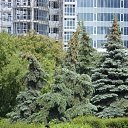 ���� Nusha, ������������, 53 ���� - ��������� 22 ������� 2009 � ������ ������������