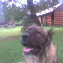  Vytautas, , 66  -  15  2010   foto