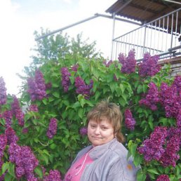 ���� �����, ���������, 55 ��� - ��������� 15 ���� 2013