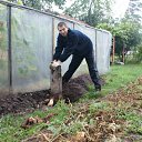  ,  , 42  -  4  2011     2010