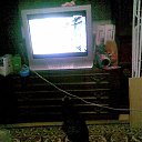 ���� �����, ����������, 59 ��� - ��������� 21 ������� 2010 � ������ �������