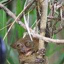 ���� �������, ������, 47 ��� - ��������� 25 ������� 2011 � ������ �������