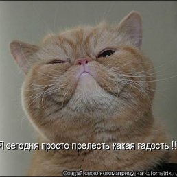 ���� �������, �����������, 43 ���� - ��������� 9 �������� 2011