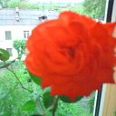 ���� �� ���� �� ������� �������