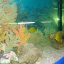 ���� �����, �������������, 25 ��� - ��������� 28 ���� 2013 � ������ �� �� ���������.�