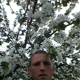 ���� ������, ����, 39 ��� - ��������� 12 ������ 2012