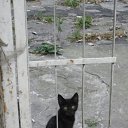 ���� �����, �����-��������� - ��������� 30 ������ 2011 � ������ ���� ����������