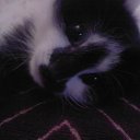   ,  -  26  2013        =)