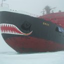 ���� �����, ���� - ��������� 25 �������� 2011 � ������ �������