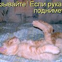 ���� �����, ��������, 59 ��� - ��������� 6 ������ 2012 � ������ �������