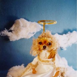 ���� ������, ������ - ��������� 14 ������ 2010