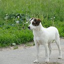 ���� ������, ���������, 62 ���� - ��������� 12 ���� 2012 � ������ �12 �����