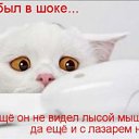 ���� �����, ����������� - ��������� 3 ������ 2010 � ������ �������