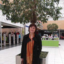 ����� �������, �������-���������, 58 ���