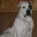 ���� ����, ������, 40 ��� - ��������� 22 ������ 2010 � ������ ���� ����))�