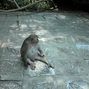 ���� �������, ������, 74 ���� - ��������� 15 ��� 2010 � ������ ���������