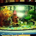 ���� ����� ����� ������, ���������, 41 ��� - ��������� 25 ������ 2012