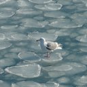 ���� ����, ������-�������, 49 ��� - ��������� 22 �������� 2012 � ������ ���� ����������