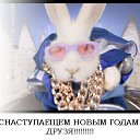 ���� �����, �����������, 44 ���� - ��������� 23 ����� 2012