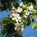 ���� �����, ��������, 45 ��� - ��������� 3 ������� 2010 � ������ ����� �������