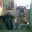 ���� �������, ������������, 48 ��� - ��������� 23 ������ 2012 � ������ ���� ����������