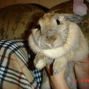 ���� ������, �������, 42 ���� - ��������� 2 ����� 2010 � ������ �������