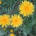 ���� �������, �������������� - ��������� 3 ��� 2013 � ������ �������