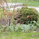  ,  -  26  2013    ""  2013 . 