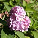 ���� ����, ������, 38 ��� - ��������� 28 ���� 2010 � ������ �������