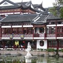 ���� ���, ������, 37 ��� - ��������� 2 ���� 2009 � ������ �������