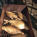 ���� ���������, �����������, 63 ���� - ��������� 21 ������ 2013 � ������ ����� 21.04.2013�