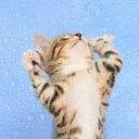 ���� ������, ���, 24 ���� - ��������� 29 ��� 2011 � ������ �PetLove�