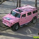 ���� ������, ����, 44 ���� - ��������� 14 ����� 2012 � ������ ���� ����������