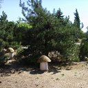 ���� �����, ��������� - ��������� 10 ���� 2012 � ������ ���� ����������