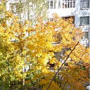 ���� �����, ����� - ��������� 25 ��� 2011 � ������ ����� �� ���� �����