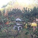 ���� �����, ��������, 56 ��� - ��������� 23 ���� 2013 � ������ ���� ����������