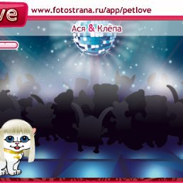 ���� ����, �����������, 44 ���� - ��������� 20 ������ 2010