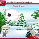 ���� ������, ������, 38 ��� - ��������� 8 ����� 2011 � ������ �PetLove�
