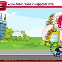  , , 41  -  20  2010   PetLove