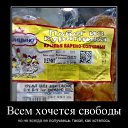 ���� �����-������, ������ - ��������� 27 ��� 2012 � ������ �������������