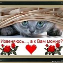 ���� ����, ������������, 56 ��� - ��������� 11 ���� 2012 � ������ �������