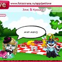���� �����, �������, 28 ��� - ��������� 14 ������ 2010 � ������ �PetLove�